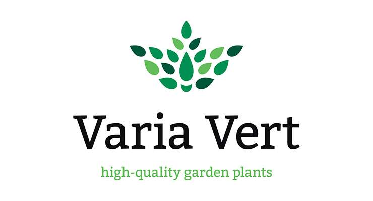 Varia Vert