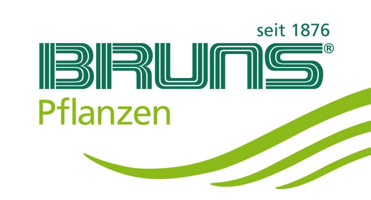 Bruns Pflanzen